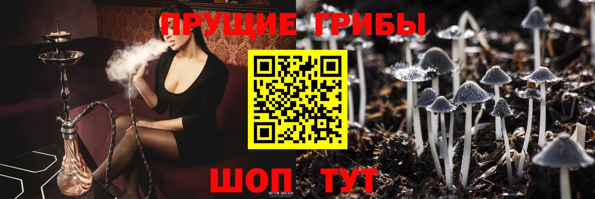 Каменск-Уральский  Псилоцибиновые грибы Psilocybine cubensis  Вход с VPN 